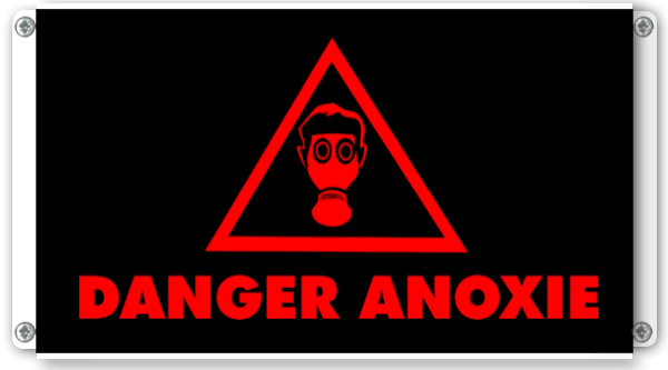 afficheur lumineux de signalisation Danger Risque Anoxie pictogramme lumineux